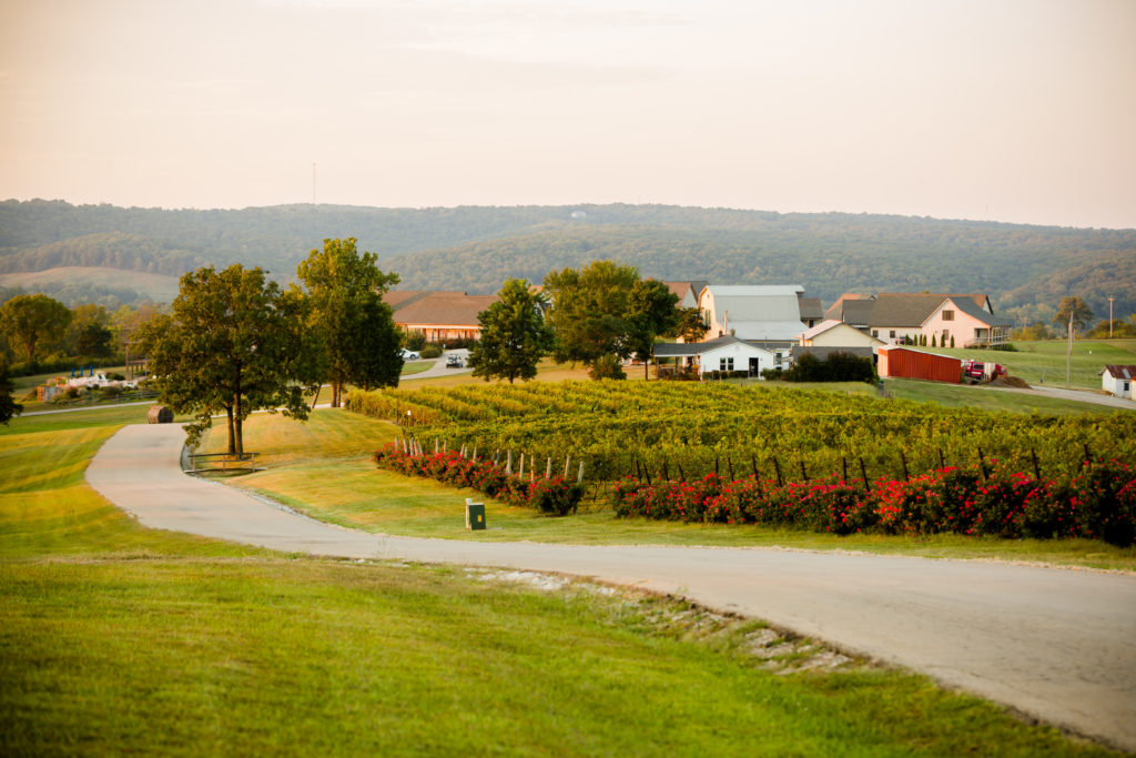 chaumette vineyards & winery, chaumette winery