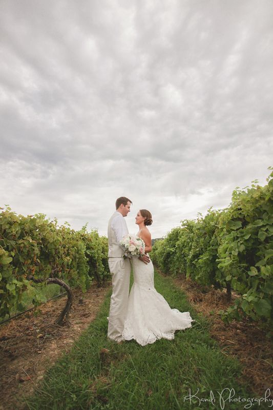 vineyard wedding