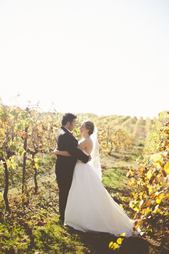 wedding at a winery
